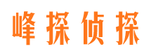 左贡外遇调查取证